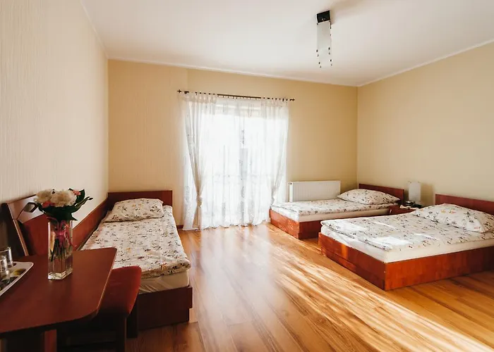 Promyk Danzica
